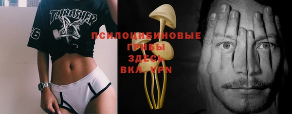 ПСИЛОЦИБИНОВЫЕ ГРИБЫ Богородицк