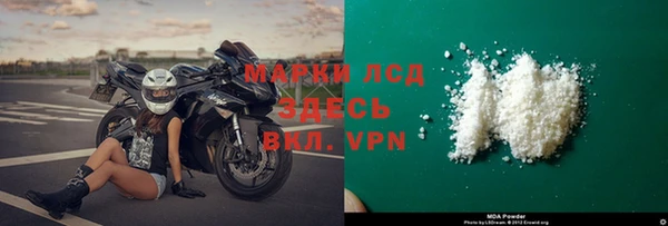 стаф Богданович