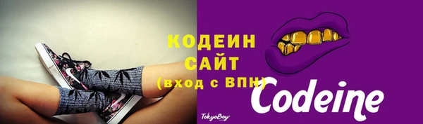 стаф Богданович