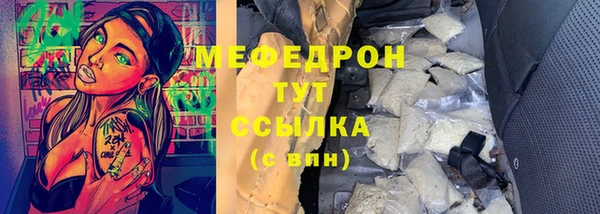 стаф Богданович