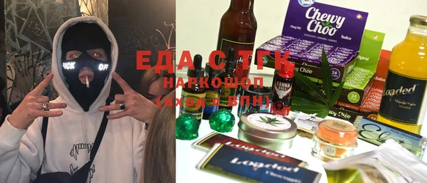 стаф Богданович