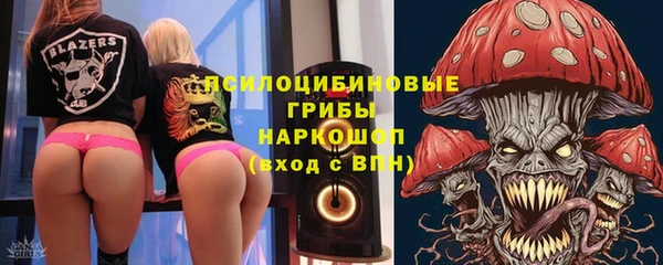 ПСИЛОЦИБИНОВЫЕ ГРИБЫ Богородицк