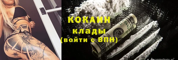 стаф Богданович