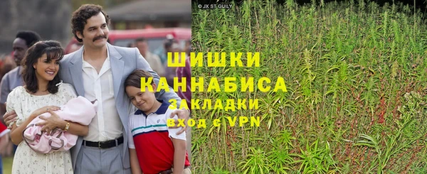 стаф Богданович